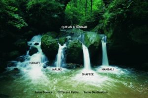 Hanafi Maliki Hanbali Shafi´i